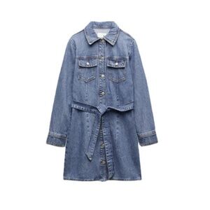 Zara Denim Long Sleeve Dress